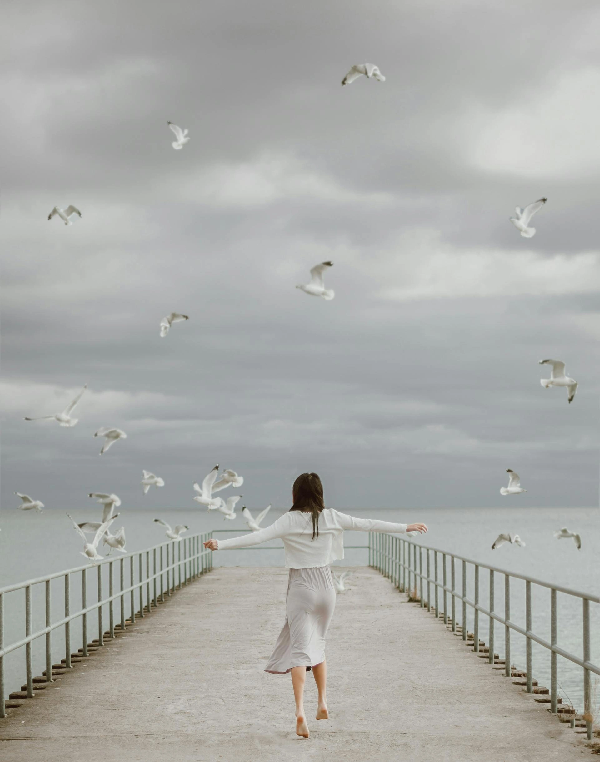 Seagulls (Before)